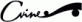 Size 7 Cvine Women's Shoes