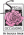 Size 7 Special Occasions Women's Shoes