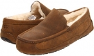 Chestnut Leather UGG Ascot for Men (Size 18)