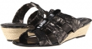 Black David Tate Oley for Women (Size 6)