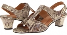 Taupe/Gold Wash Snake Print Rose Petals Lottie for Women (Size 6)