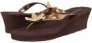 Bronze Tommy Bahama Bimini Starfish for Women (Size 10)