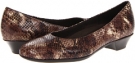 Brown Snake Munro American Meg for Women (Size 4.5)