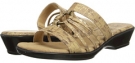 Cork w/ Gold Fleck Easy Street Scorch for Women (Size 9)