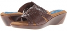 Brown Fitzwell Archer for Women (Size 6)