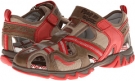 Dark Beige/Beige Primigi Kids Duke for Kids (Size 13)