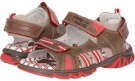 Brown/Red Primigi Kids Noah for Kids (Size 12)