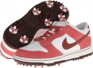 Summit White/Field Brown/Light Redwood Nike Dunk NG for Women (Size 10.5)