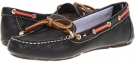 Black Multi Leather Tommy Hilfiger Ravelin for Women (Size 8.5)