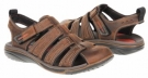Clarks Firetail