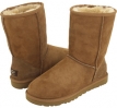 Chestnut UGG Classic Short for Men (Size 7)