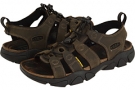 Black Olive Keen Daytona for Men (Size 7)