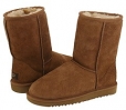 Chestnut UGG Classic Short for Women (Size 6)