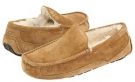 Chestnut UGG Ascot for Men (Size 18)