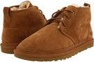 Chestnut Twinface UGG Neumel for Men (Size 18)