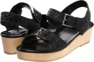 A Line 12-1641 SP 12 (Youth/Adult)