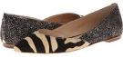 Zebra/Feather Loeffler Randall Lou for Women (Size 11)