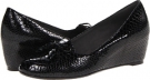 Black Crystal Snake Stuart Weitzman Nicetie for Women (Size 7)